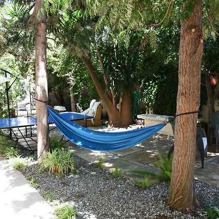 B&B Al Vecchio Glicine Torre Canne Exterior foto